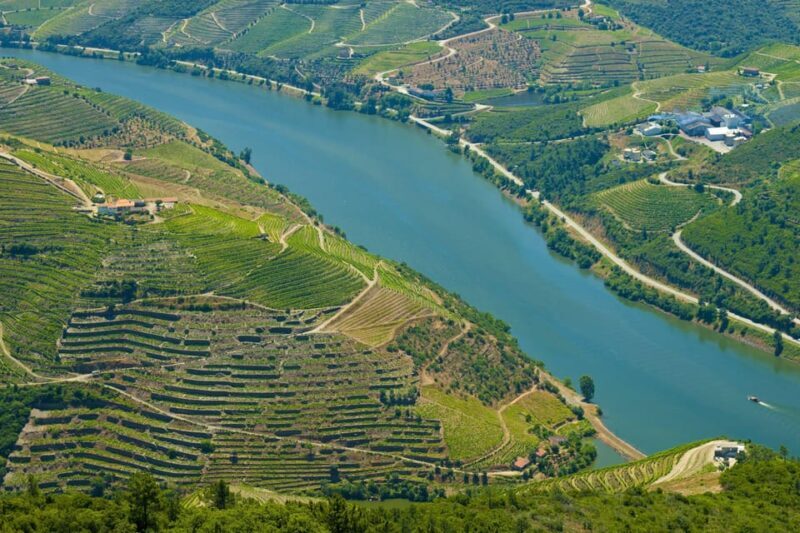 Porto: Douro Valley Wine & History Tour with Cruise & Lunch - The Sum Up