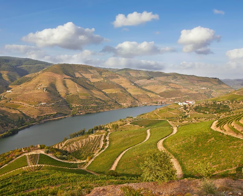 Porto: Douro Valley Wine & History Tour with Cruise & Lunch - FAQ