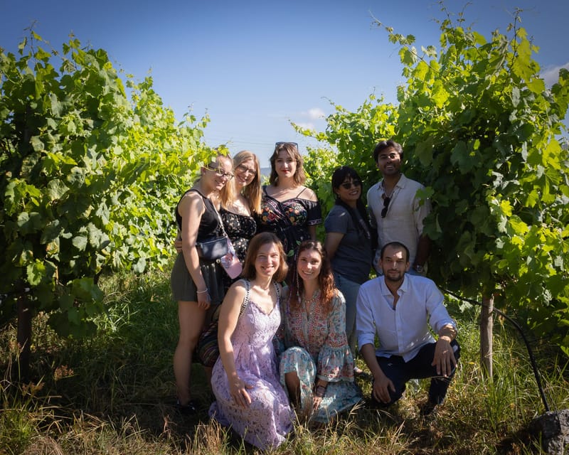 Porto: Douro Valley Wine Tour with a Sommelier & Boat Trip - Authenticity and Experience