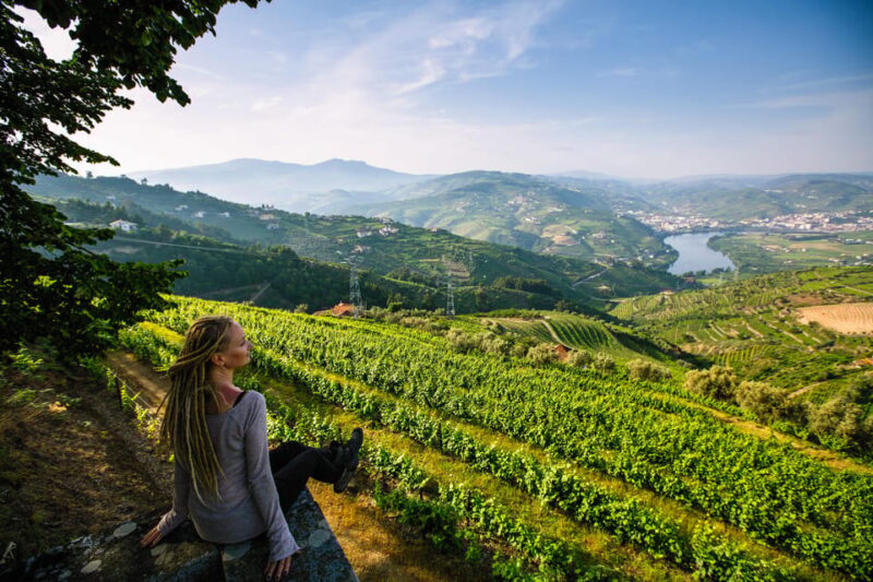 Porto: Douro Valley Wine Tour with a Sommelier & Boat Trip - Practical Details: What You Need to Know