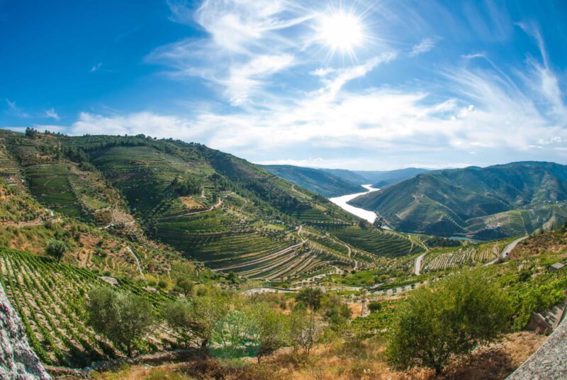 Porto: Douro Valley Wine Tour with Lunch, Tastings & Cruise - Key Points