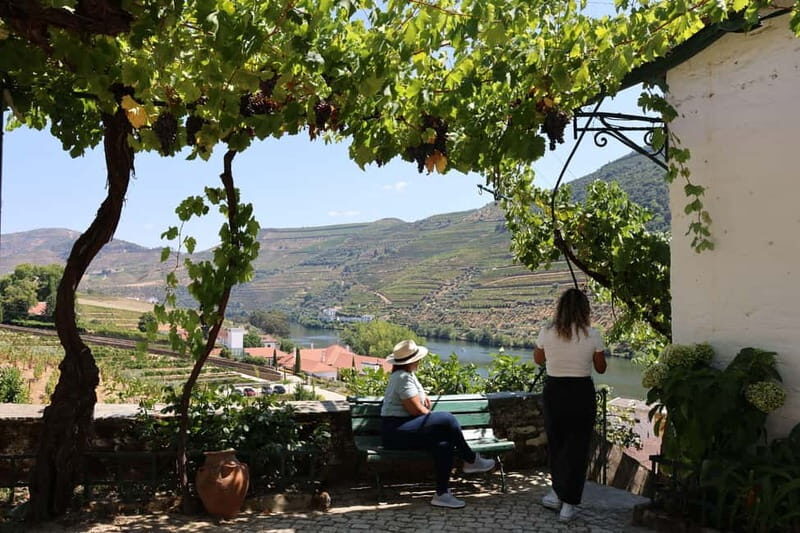 Porto: Douro Valley with Small Wineries, Lunch and Boat Tour - Price and Value