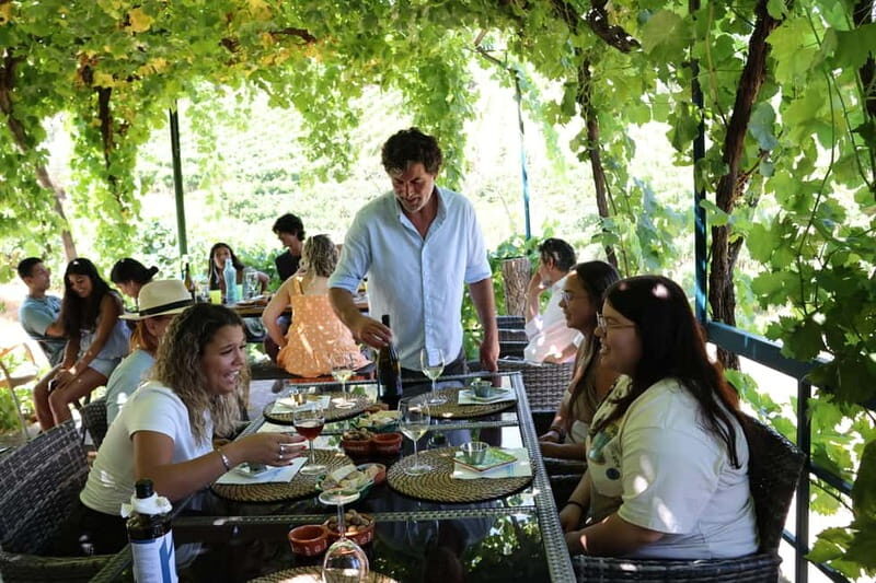 Porto: Douro Valley with Small Wineries, Lunch and Boat Tour - Authentic Experiences and Reviewer Insights