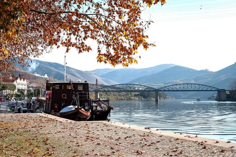 Porto: Douro Wine Tour with Lunch and River Cruise - The Itinerary and What You Can Expect