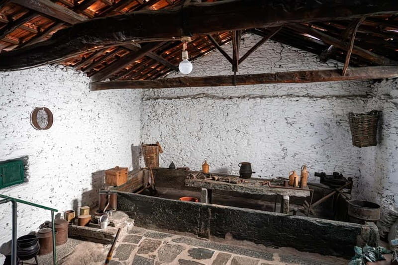 Porto: Douro Wine Tour with Lunch and River Cruise - Who Should Consider This Tour?
