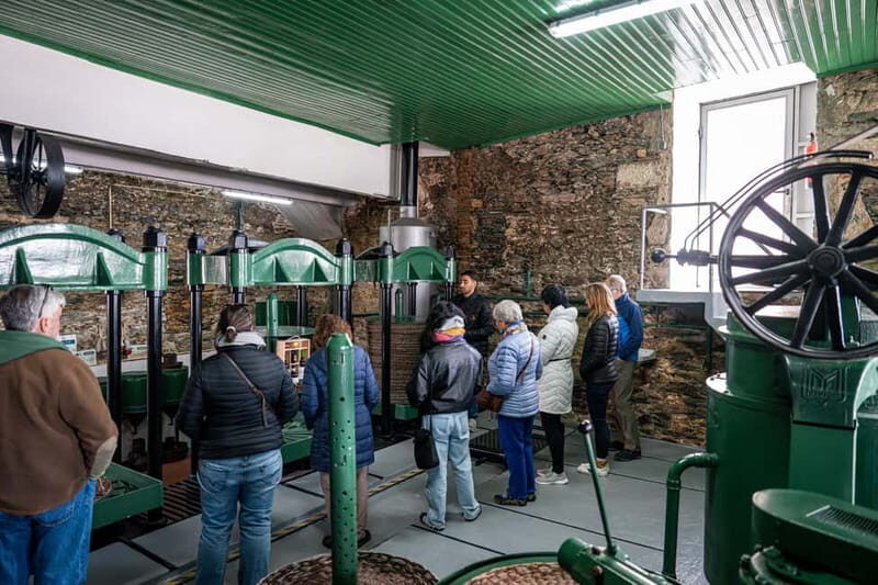 Porto: Douro Wine Tour with Lunch and River Cruise - Final Thoughts