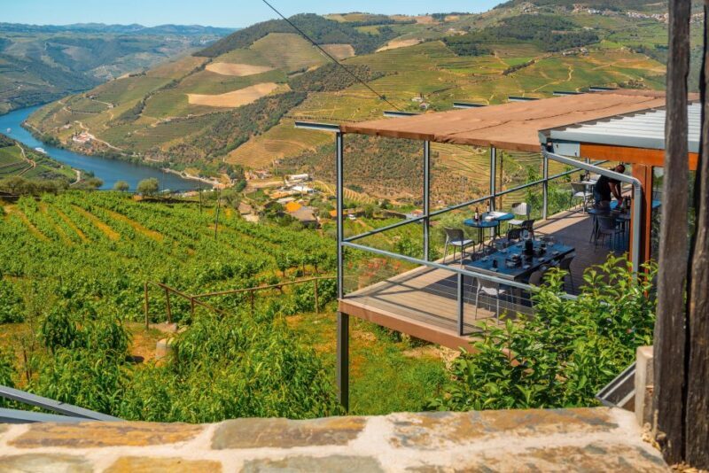 Porto: Douro Wine Tour with Lunch and River Cruise - The Sum Up