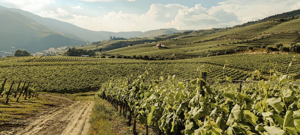 Porto/Douro:4x4 Private Tour With Lunch, Wine Taste and Boat - Transportation Details