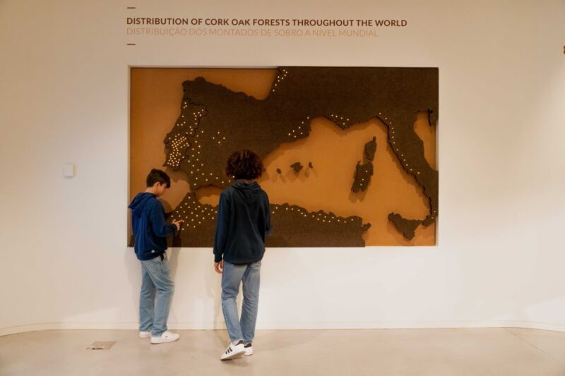 Porto: Entry Ticket at WOW - Planet Cork Museum - Final Thoughts