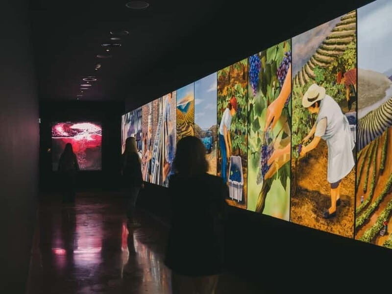 Porto: Entry Ticket at WOW - The Wine Experience Museum - A Deep Dive into the Experience