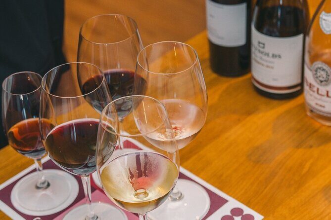Porto: Explore Wine & Flavour - Workshops at WOW Wine School - Who Will Love This Experience?