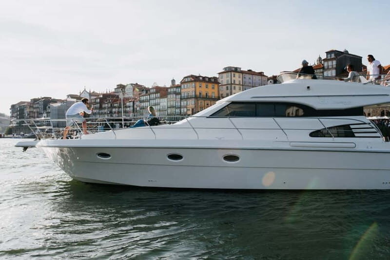 Porto: Full Day Douro River Cruise - 8h - Introduction: An Authentic, Luxurious Day on the Douro