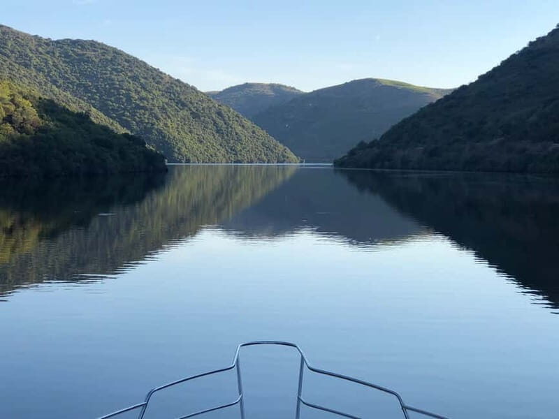 Porto: Full Day Douro River Cruise - 8h - Practical Details: Making the Most of Your Day
