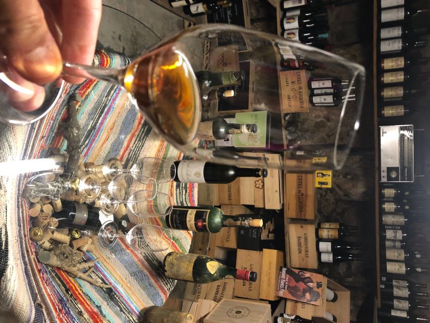 Porto Gourmet Guided Food Tour and Wine - Culinary Highlights