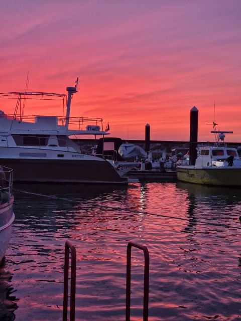 Porto: Guide Boat Tour With Tasting of 4 Port Wines - Private or Small Group Options