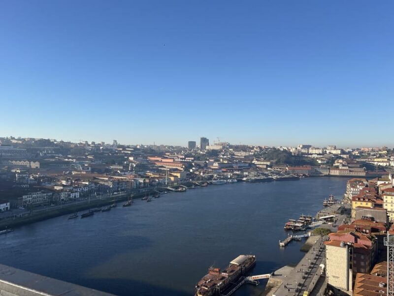 Porto: Guided City Highlights Walking Tour - Who Should Consider This Tour?