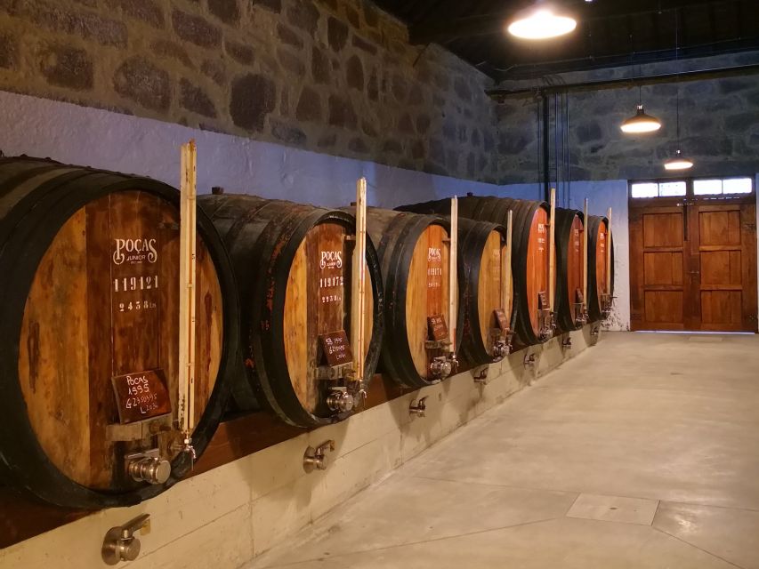 Porto: Guided Tour and Tasting of 3 Port Wines at Poças - Languages and Accessibility