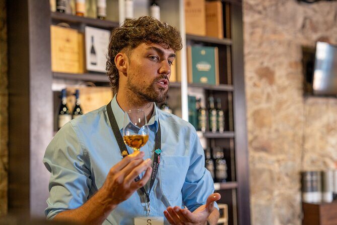 Porto Half-Day Guided Historical Tour with Port Cellar Visit and Tasting - Who Should Book This Tour?