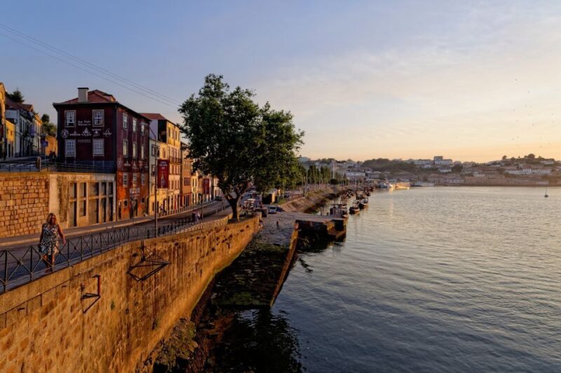 Porto Half Day Walking Tour: River Cruise & Wine Tasting - An In-Depth Look at the Experience