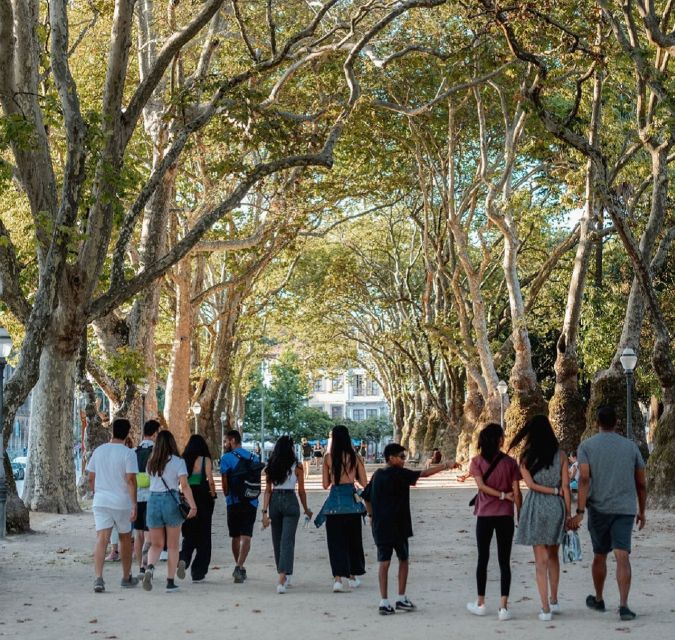 Porto: Harry Potter and City of Porto Guided Walking Tour - What to Expect