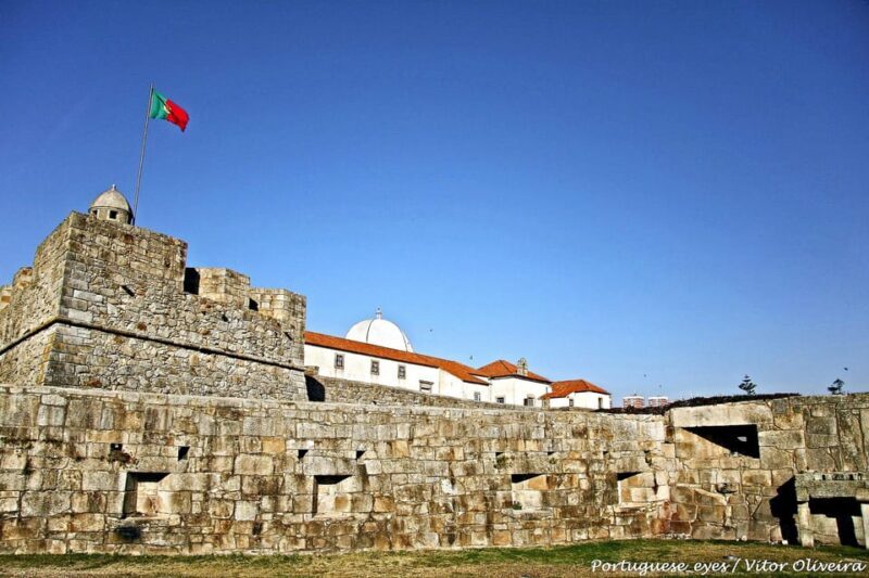 Porto Legends Full Day: Walk & TukTuk Fun Tour - Dining and Flexibility: Making the Most of Your Day