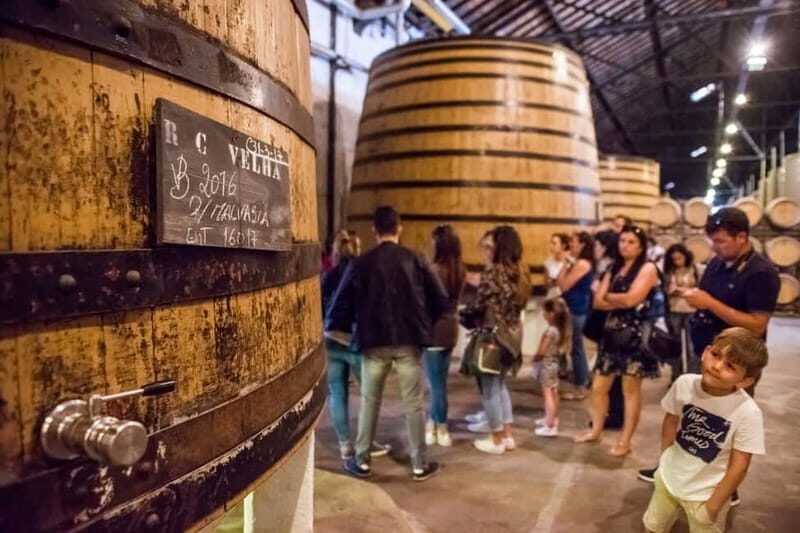 Porto: Magic Train Tour and Port Wine Cellar with Tastings - Conclusions: Who Should Consider This Tour?