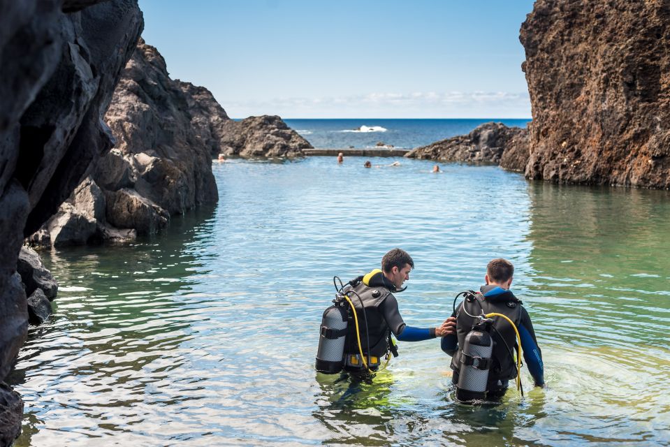 Porto Moniz: Diving With Sharks and Rays in Madeira Aquarium - Frequently Asked Questions