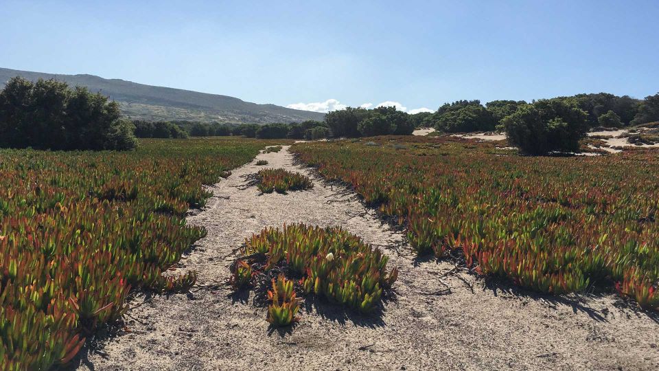 Porto Paglia: Tonnare Trail Guided Hiking Experience - Included Amenities