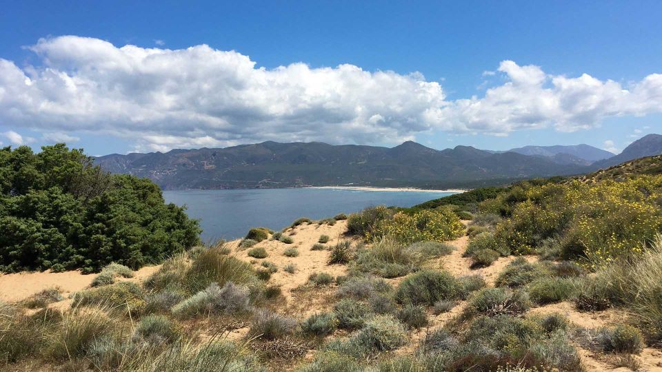 Porto Paglia: Tonnare Trail Guided Hiking Experience - Pet Policy and Guidelines