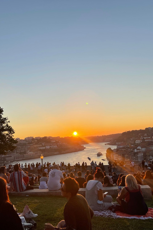 Porto: Picnic Experience in Jardim do Morro - Practical Details and How It Compares to Similar Experiences