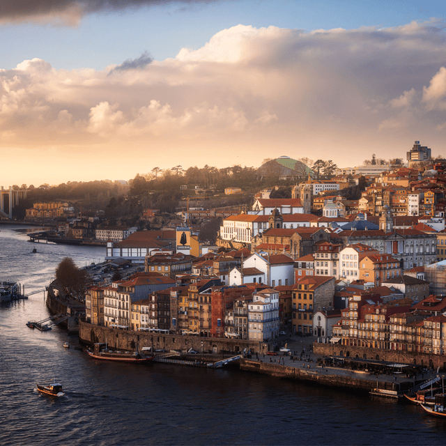 Porto: Picnic Experience in Jardim do Morro - The Sum Up