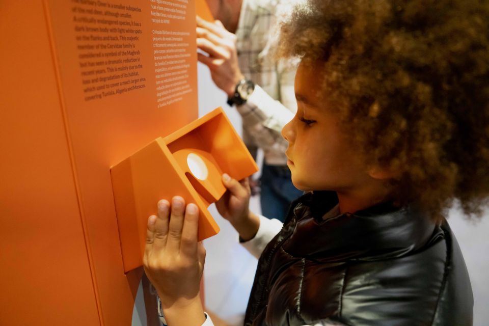 Porto: Planet Cork Entry Ticket at WOW - Educational Insights