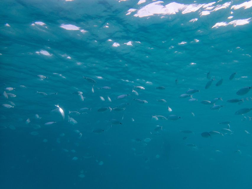 Porto Pollo: La Maddalena Islands Snorkeling Tour - Natural Beauty and Scenery