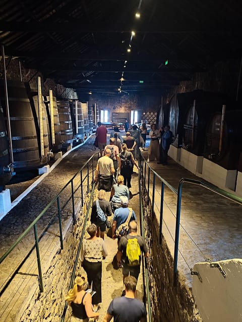 Porto: Port and Douro Wine Walking Tour with Tastings - Final Thoughts