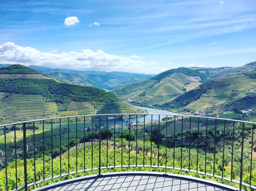 Porto: Private Douro Valley Day With Lunch - Key Points