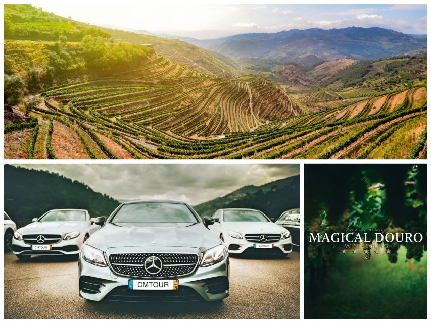 Porto: Private Douro Valley Day With Lunch - Pinhão Sightseeing