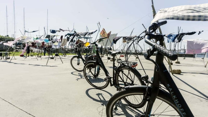 Porto Private E-Bike Tour: Douro River, Parks & Beaches - Who Will Love This Tour?