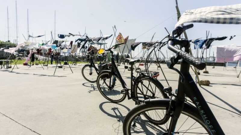 Porto Private E-Bike Tour: Douro River, Parks & Beaches - The Sum Up