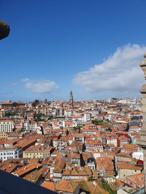 Porto: Private Full-Day City Tour - A Quick Look at the Experience