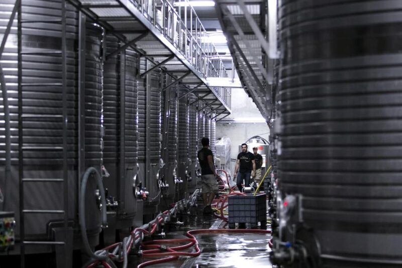 Porto: Private Green Wine Tour: Visit 2 Wine Estates & Lunch - Key Points