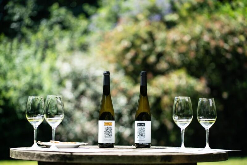 Porto: Private Green Wine Tour: Visit 2 Wine Estates & Lunch - The Sum Up: Who Will Appreciate This Tour?