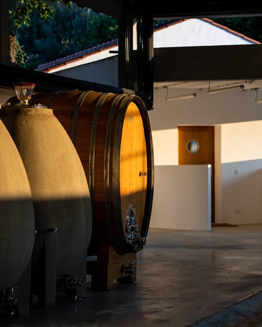 Porto: Private Green Wine Tour: Visit 2 Wine Estates & Lunch - FAQs
