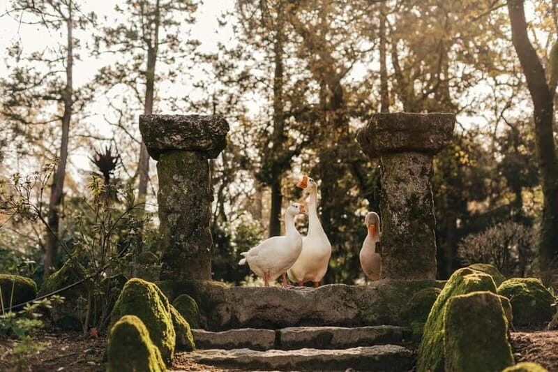 Porto: Qta da Aveleda Enchanted Gardens & Green Wine - Key Points