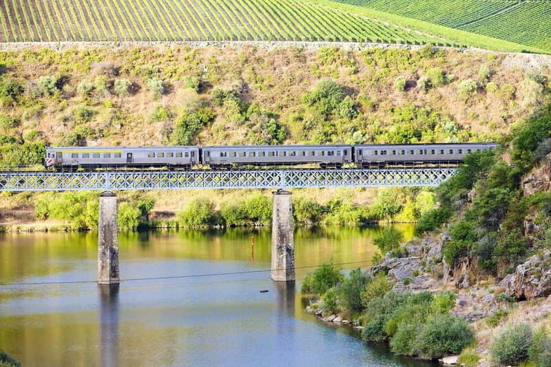 Porto: Régua Cruise with Train Ride and Wine Tasting - The Itinerary: A Closer Look