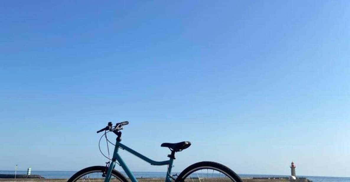 Porto: Rent a Bike or E-Bike - Rental Options and Pricing