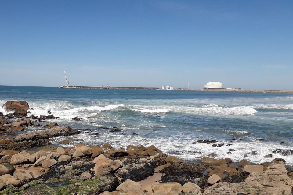 Porto Riverbank Tour on an E-Bike: Atlantic Coast, Gardens - Highlights
