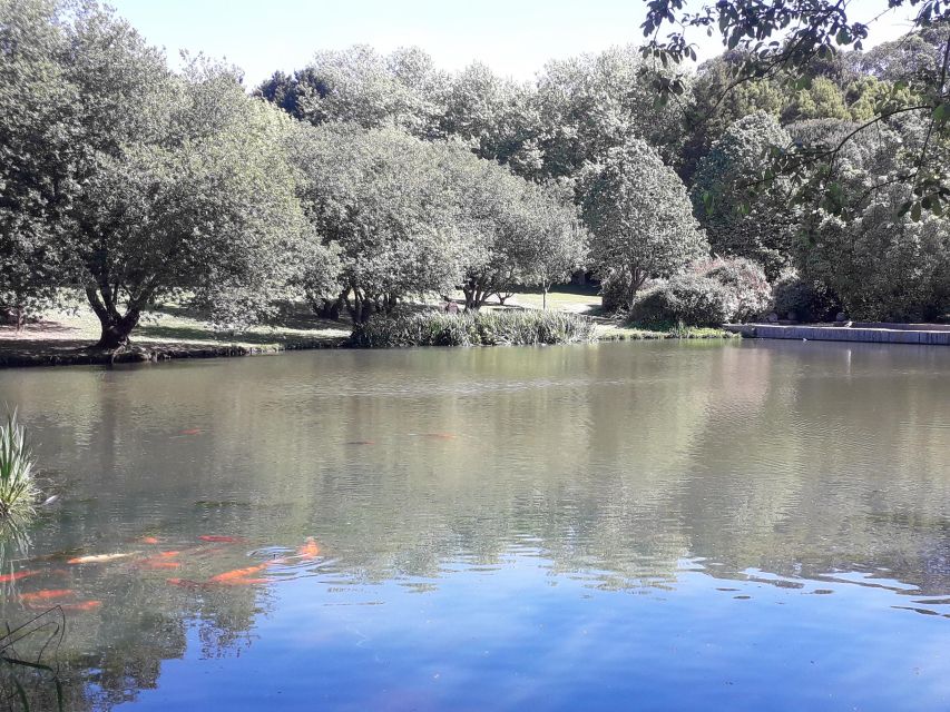 Porto Riverbank Tour on an E-Bike: Atlantic Coast, Gardens - Experience