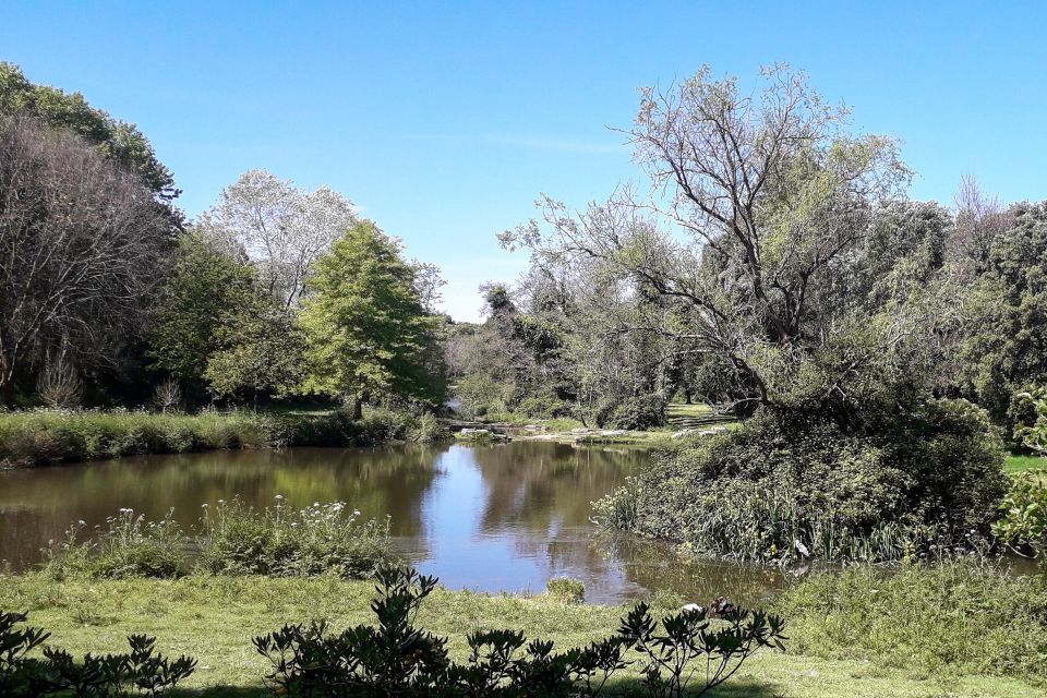Porto Riverbank Tour on an E-Bike: Atlantic Coast, Gardens - Important Information