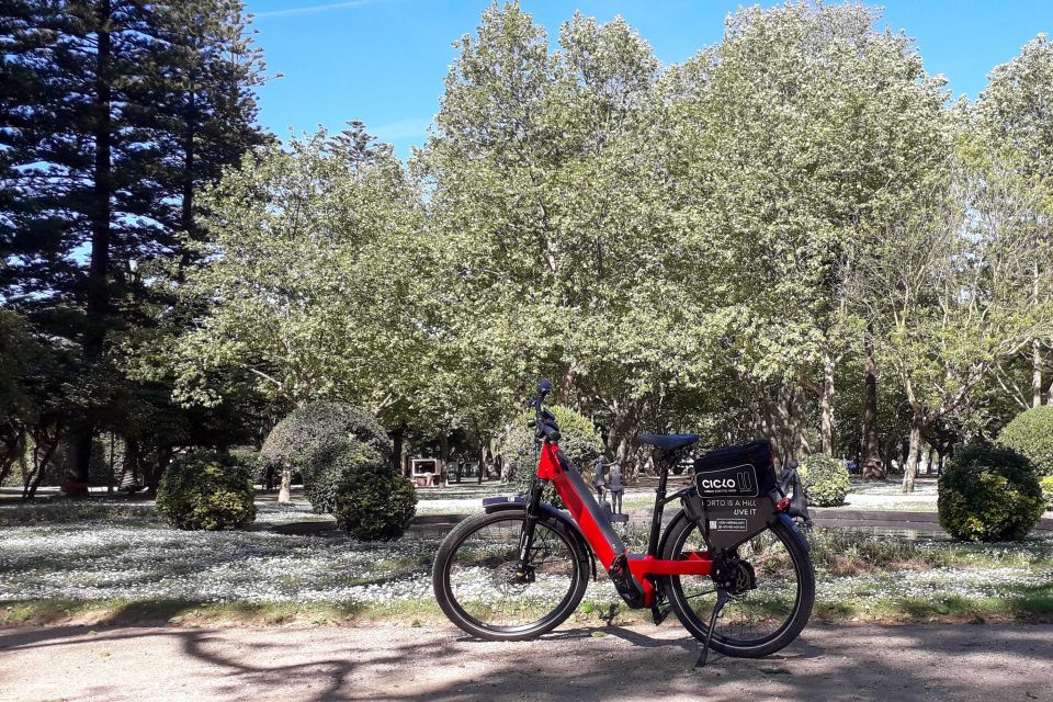 Porto Riverbank Tour on an E-Bike: Atlantic Coast, Gardens - What to Bring