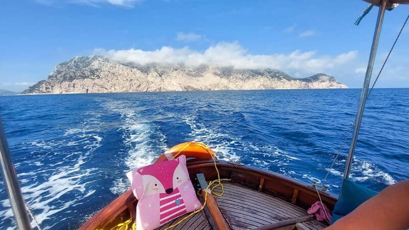 Porto San Paolo: Half Day Boat Tour to Tavolara and Molara - Who Will Love This Tour?